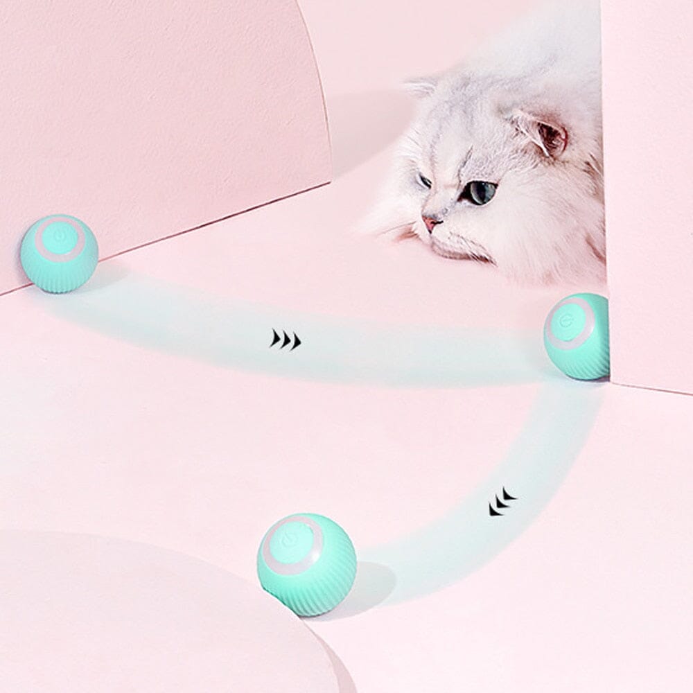 AutoBall™ - Jouet électrique interactifs pour chats - Chatmasté Zen