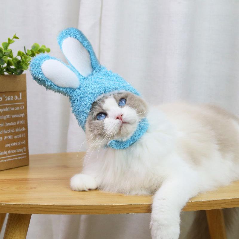 RabbitHat™ - Accessoire de déguisement pour chat - Chatmasté Zen