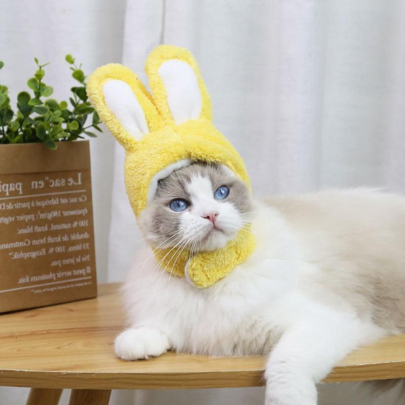 RabbitHat™ - Accessoire de déguisement pour chat - Chatmasté Zen