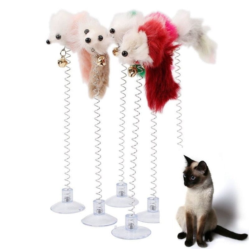 SpringFun™ - Colonne Spirale pour chat - Chatmasté Zen